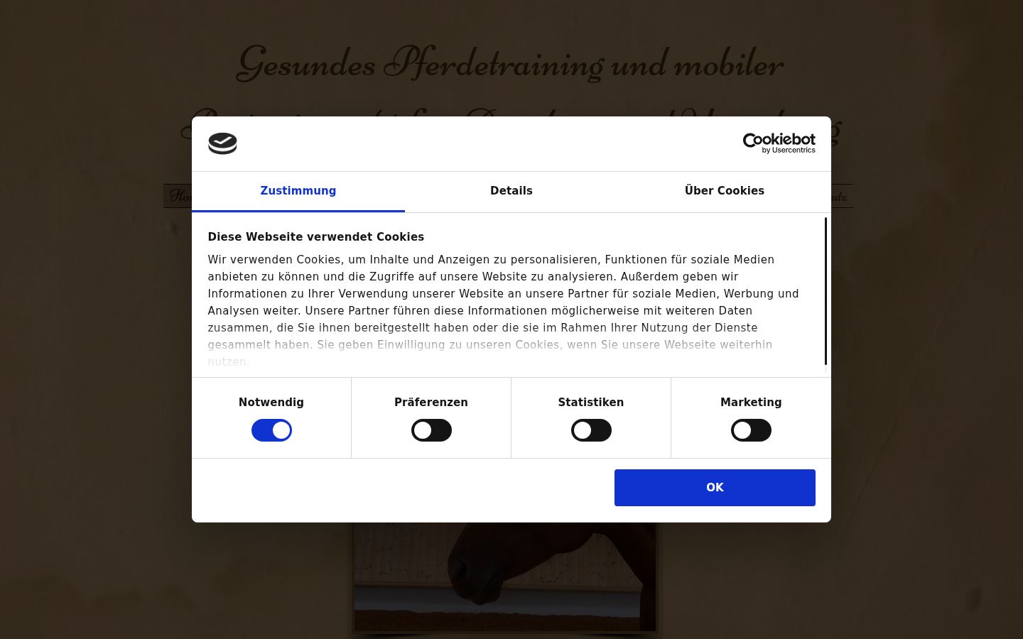 Screenshot of the consent banner shown before any interaction