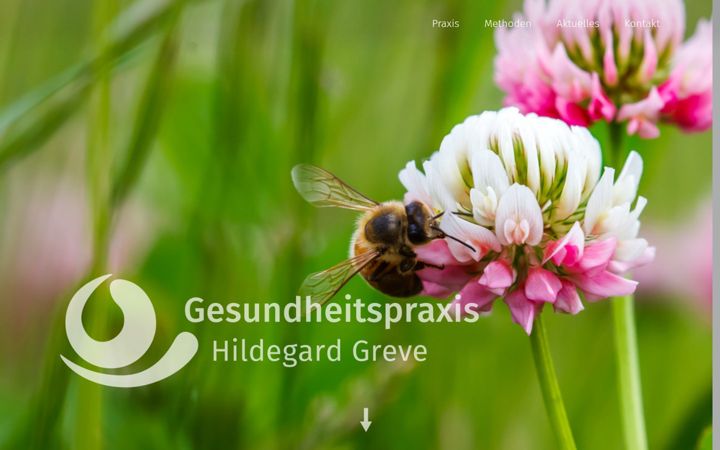 Screenshot of gesundheitspraxis-greve.de