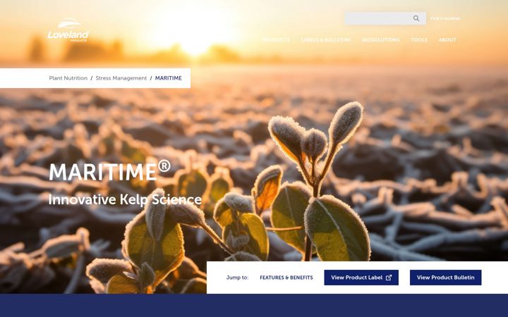 Screenshot of getmaritime.com