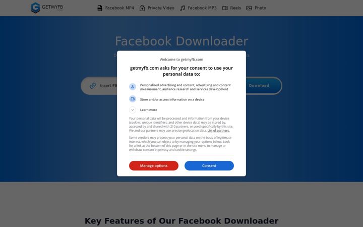 Screenshot of getmyfb.com