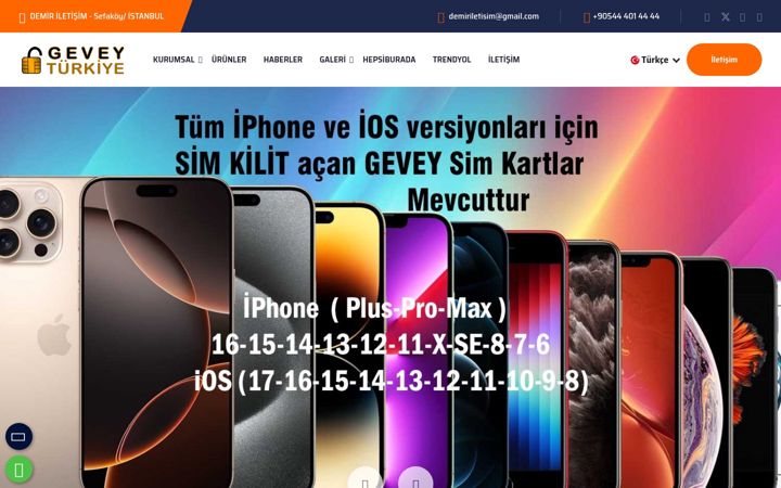 Screenshot of geveyturkiye.com