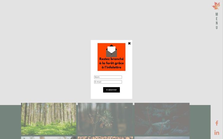 Screenshot of gfad.ca