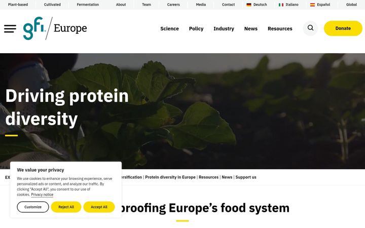 Screenshot of gfieurope.org