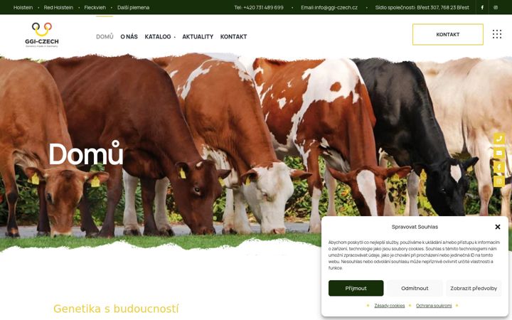 Screenshot of ggi-czech.cz