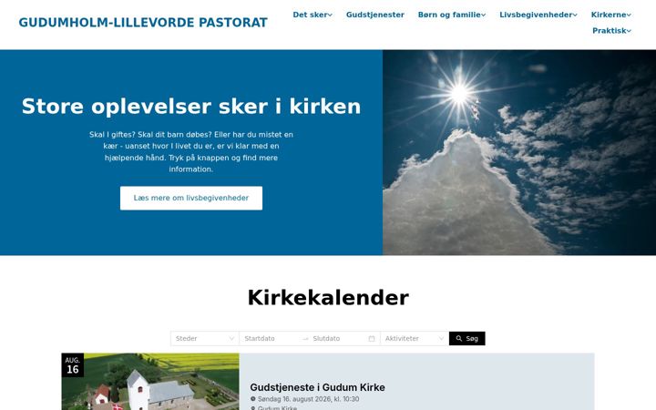 Screenshot of gglsogn.dk