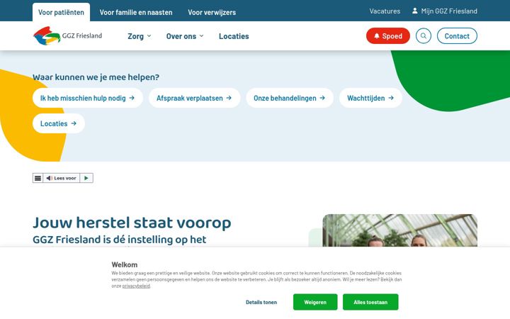Screenshot of ggzfriesland.nl