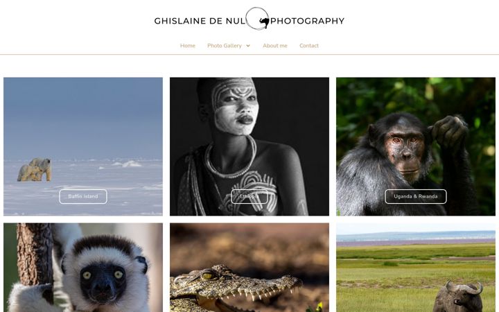 Screenshot of ghislainedenul.com
