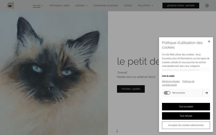 Screenshot of ghislainemoitry-portraits.com