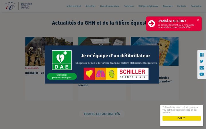 Screenshot of ghn.com.fr