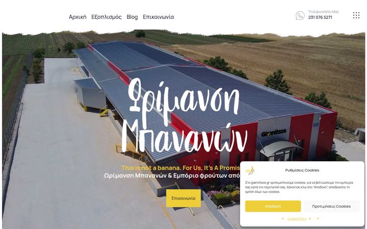 Screenshot of giannitsos.gr