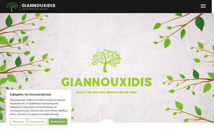 Screenshot of giannouxidis.gr