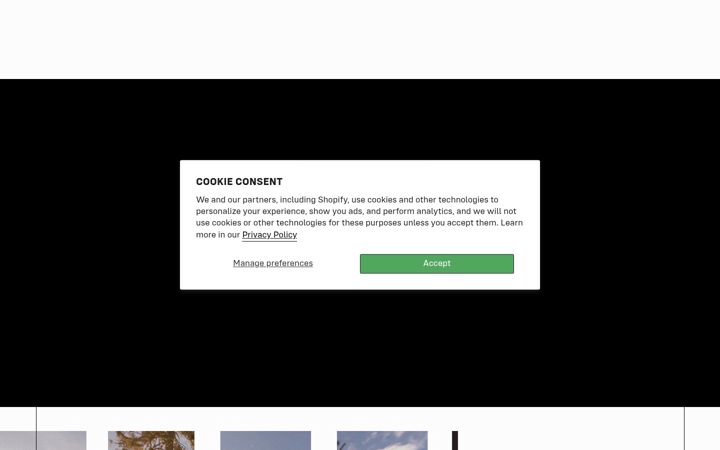 Screenshot of giantloopmoto.eu