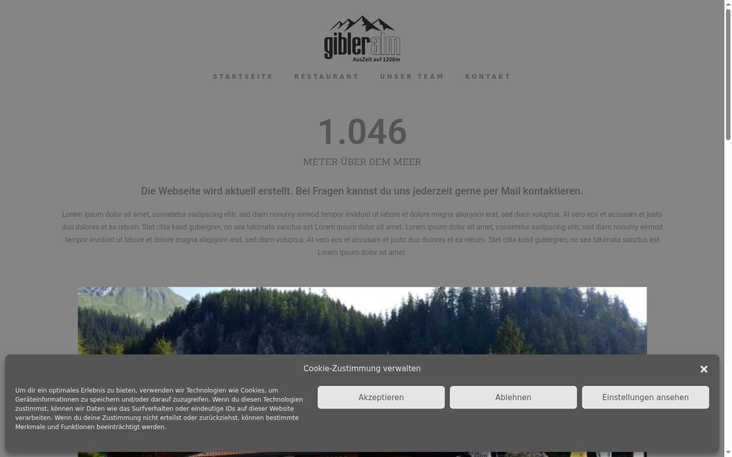 Screenshot of the consent banner shown before any interaction