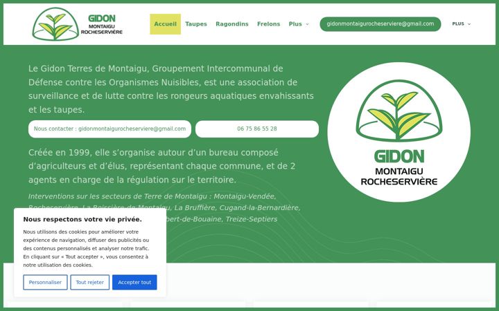 Screenshot of gidon-tdm.fr