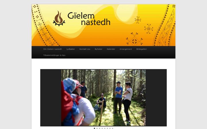 Screenshot of gielemnastedh.no