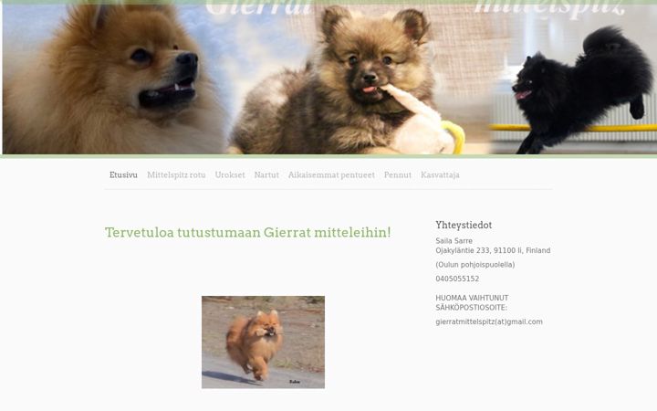 Screenshot of gierrat.com