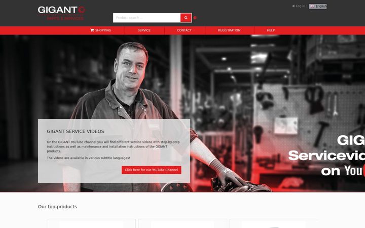 Screenshot of gigant-parts.com