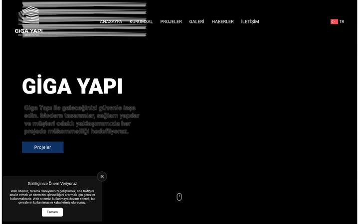 Screenshot of gigayapi.com.tr