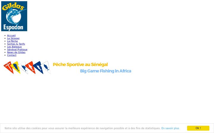 Screenshot of gildas-espadon.com