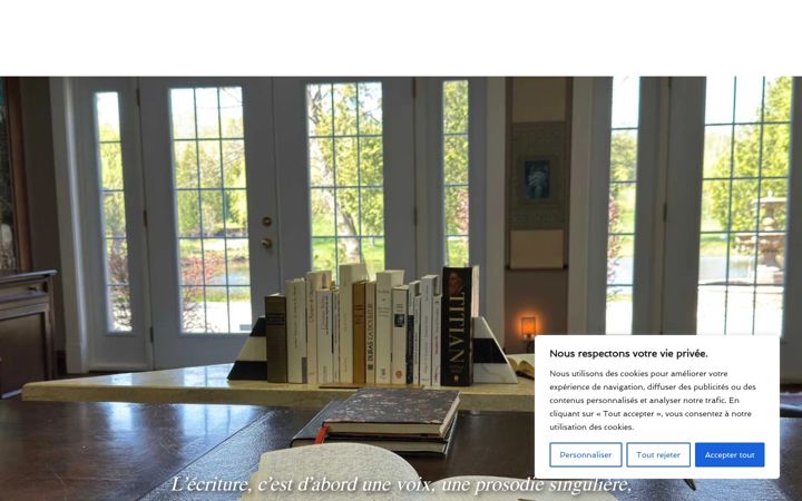 Screenshot of gilleschagnon.com