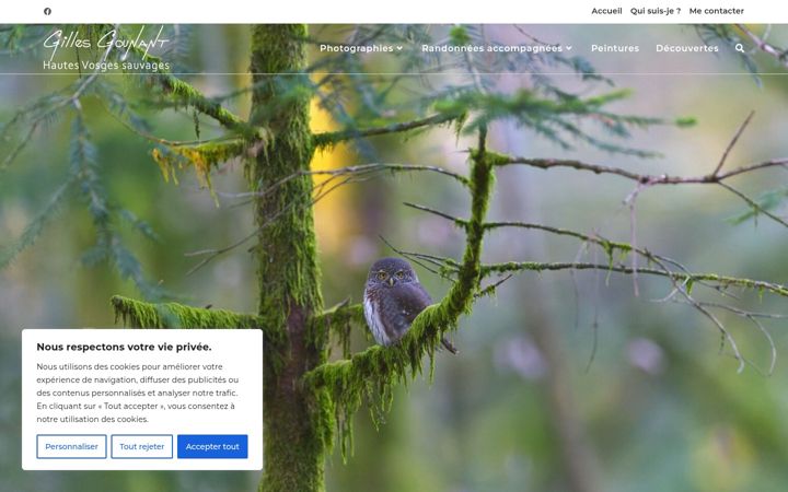 Screenshot of gillesgounant.fr