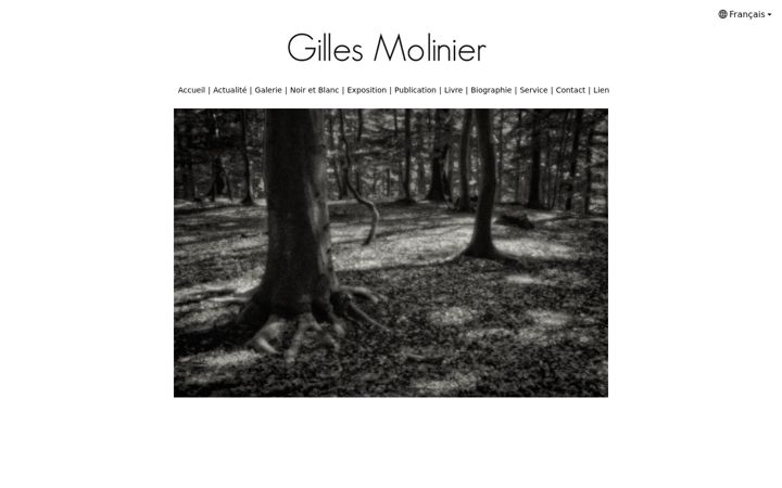 Screenshot of gillesmolinier.com