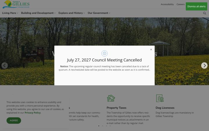Screenshot of gilliestownship.com