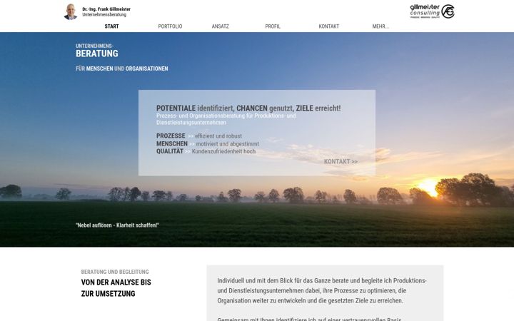 Screenshot of gillmeister-consulting.de