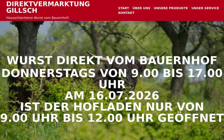 Screenshot of gillsch.de