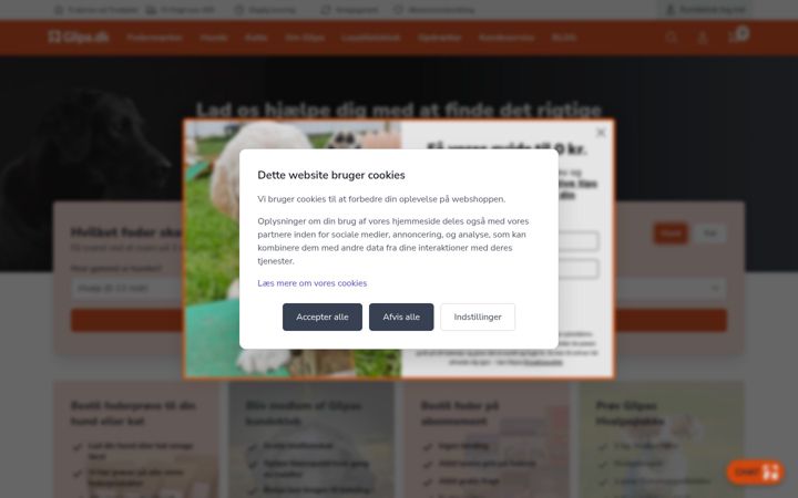 Screenshot of gilpa.dk