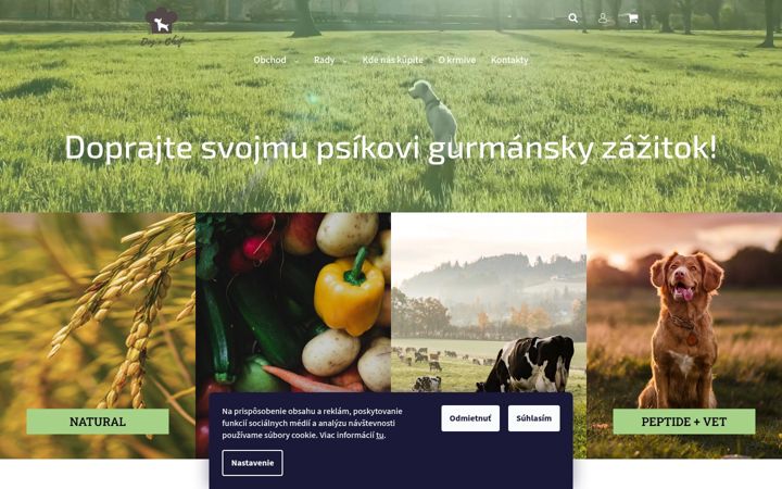 Screenshot of giltrade.sk