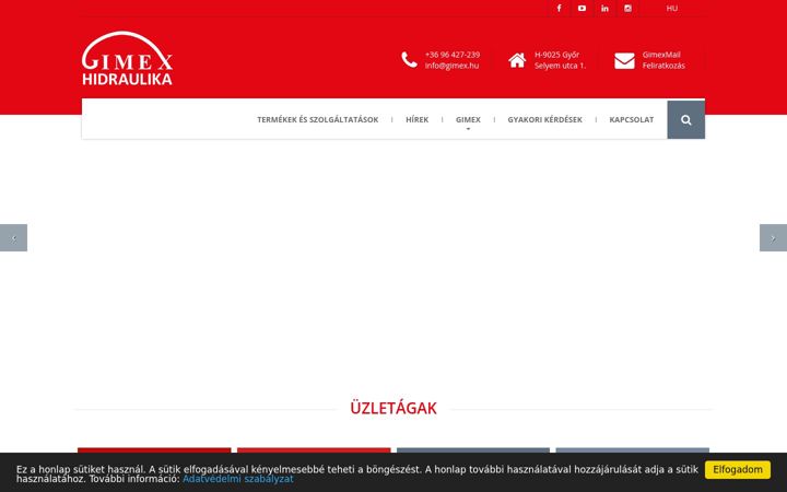 Screenshot of gimex.hu