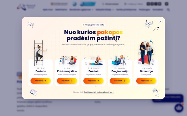 Snímek obrazovky gimnazija.lt