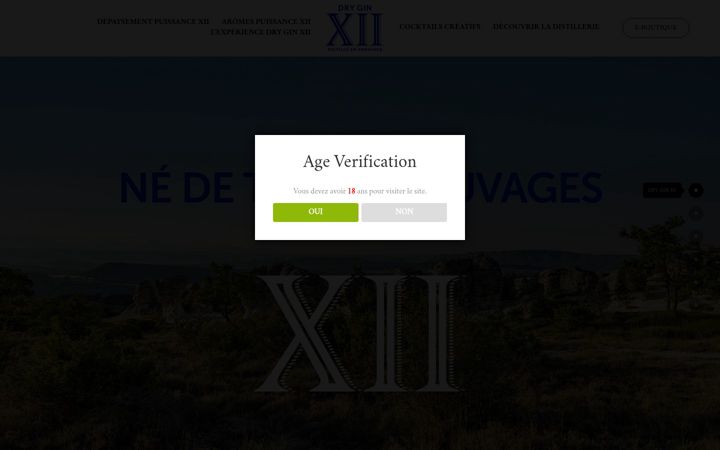 Screenshot of gin12.com