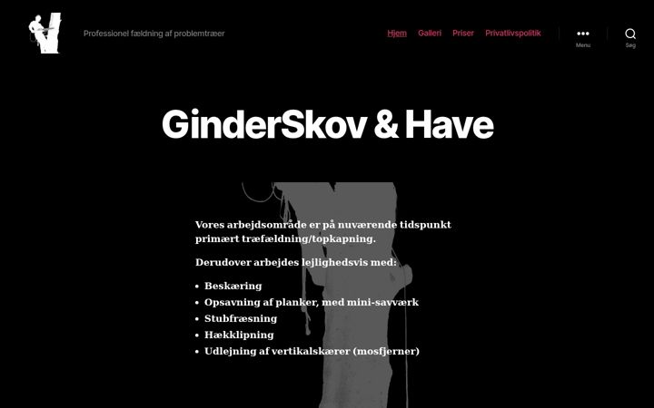 Screenshot of ginderskov.com