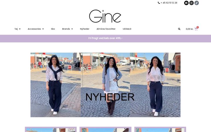 Screenshot of gine.dk