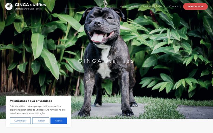 Screenshot of gingastaffies.com.br