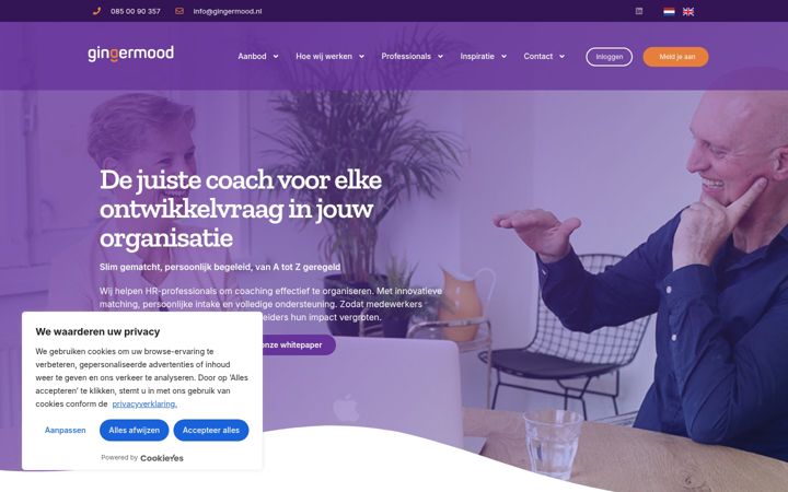 Screenshot of gingermood.com