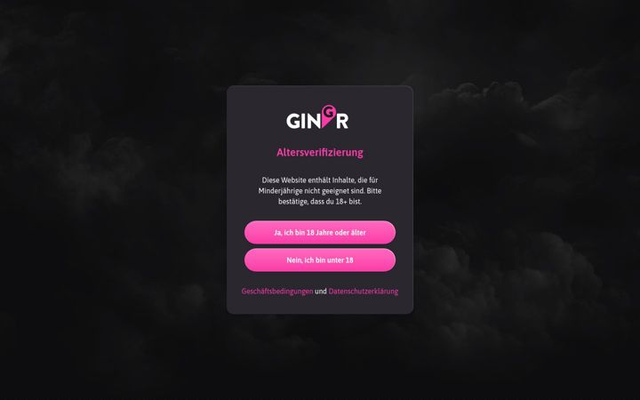 Screenshot of gingr.com