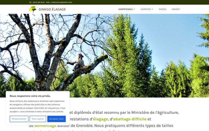Screenshot of ginkgoelagage.fr