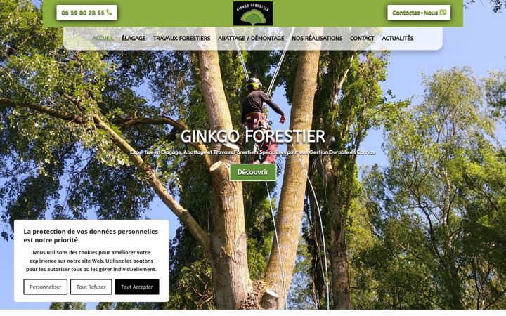 Screenshot of ginkgoforestier19.fr