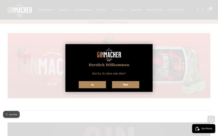 Screenshot of ginmacher.de