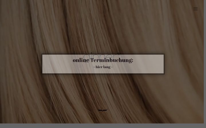 Screenshot of ginner.eu