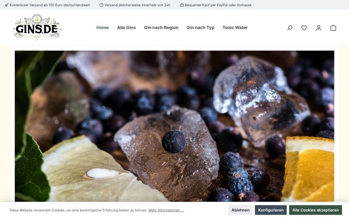 Screenshot of gins.de