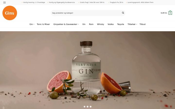 Screenshot of gins.dk