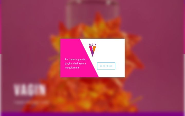 Screenshot of ginvagin.it