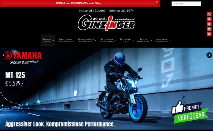 Screenshot ta' ginzinger.at