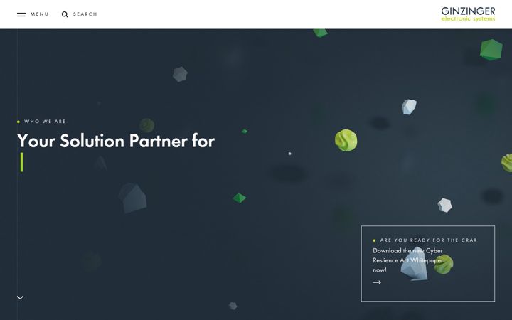 Screenshot of ginzinger.com