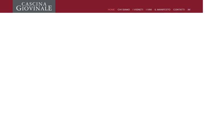 Screenshot of giovinale.com