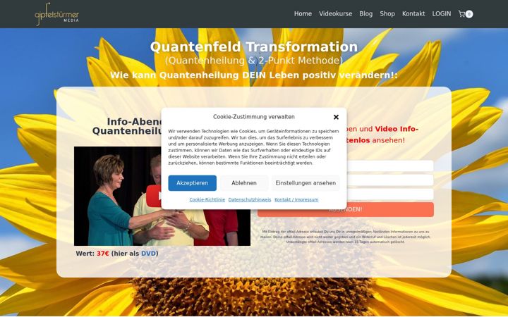 Screenshot of gipfelstuermer-institut.de